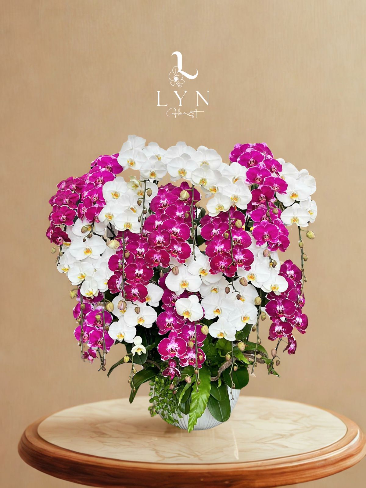 Chậu Hoa Lan Trắng Mix Lan Tím Địa Chủ